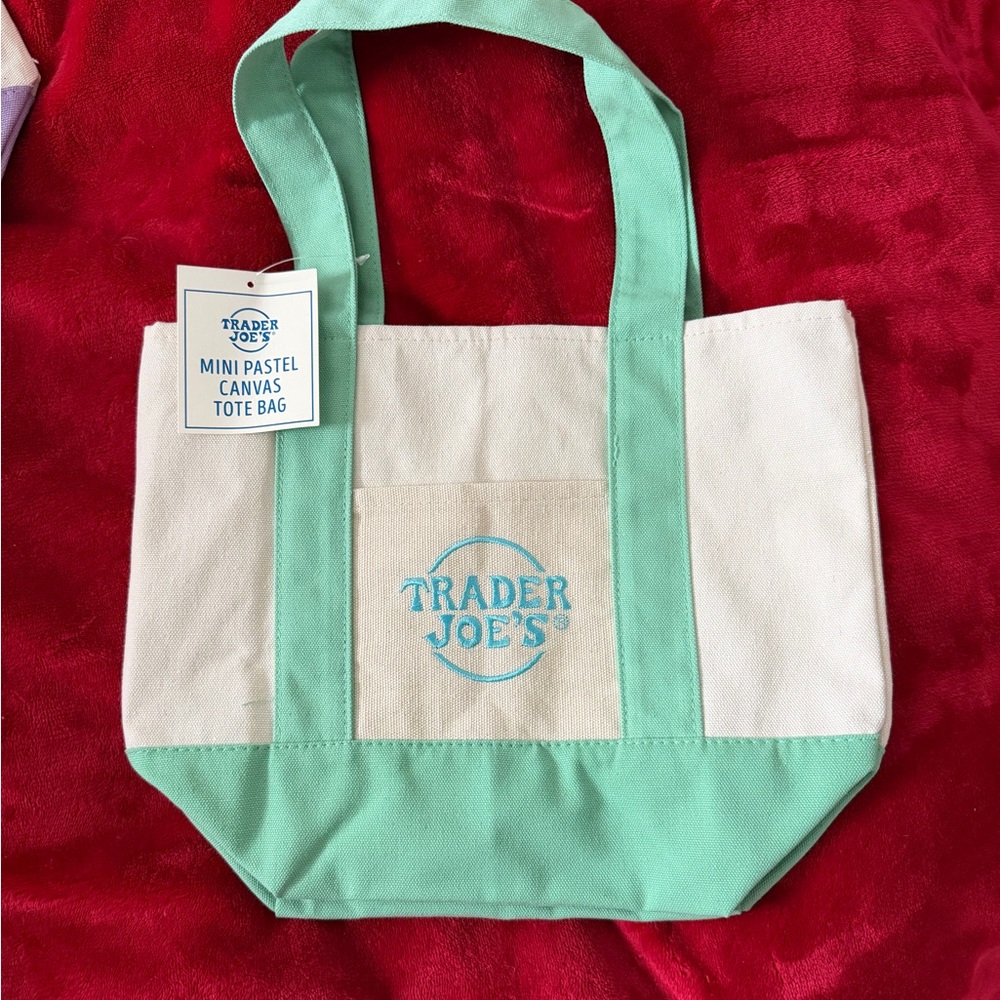 Trader Joe's Mint-Accent Canvas Mini Tote
